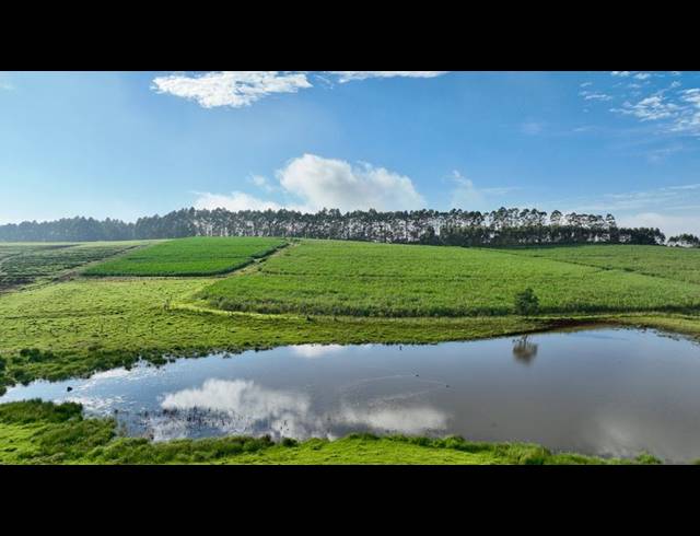 LAND FOR SALE IN MOUNT VERDE